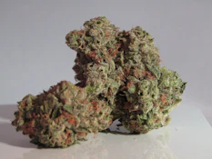 Bloom | Golden Goat