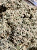 Maui Skunkdog | Dolph Craft Cannabis