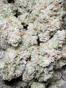 G. Band | Best Friend Farms