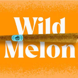 Doinks Infused Blunt 1g Wild Melon