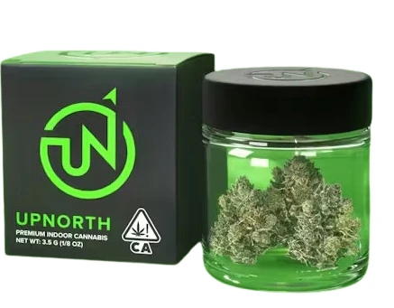 UpNorth - NF1 3.5G Main Image