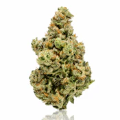 UpNorth | Blue Diesel | 3.5g