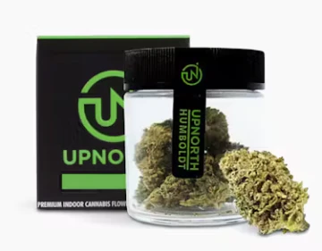 UpNorth - Hella Jelly Flower - 3.5g Main Image