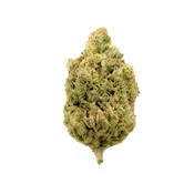 UpNorth | Headband | 3.5g