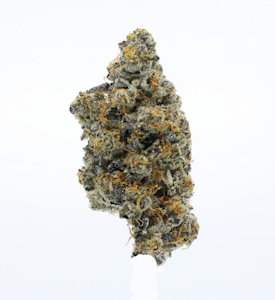 UpNorth - UpNorth | Platinum Gushers | 3.5g