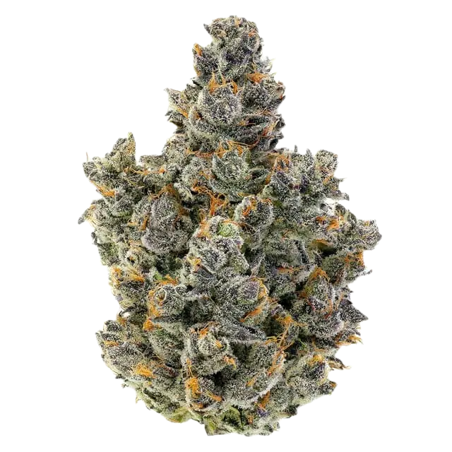UpNorth | Tequila Sunrise | 3.5g