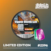 Dialed In - Gummies - Upper North Lot (H) - 100mg