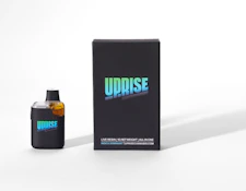 Frosted Mints Resin All-In-One - 1g