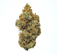 Pruf Cultivar Chemdog '91