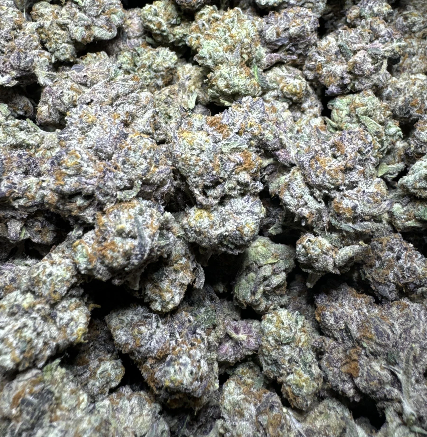Valencia Cannabis Co. - Premium Top Shelf - Presidential Runtz 7g Main Image