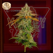 Valley Vixen Flower - 3.5g - CMC