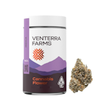 Purple Punch - 7g Purple Punch (Venterra)