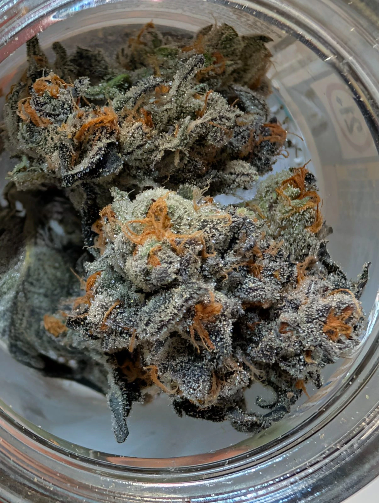 716 Sticky - Vice City 3.5g Main Image