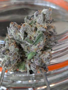 716Sticky - Vice City - Flower - 3.5g