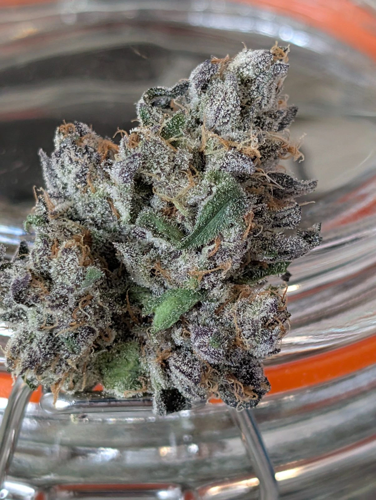 716Sticky - 716Sticky - Vice City - Flower - 3.5g Main Image