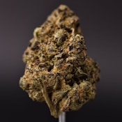 1g - Vice City - Hybrid