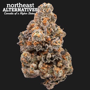 NORTHEAST ALTERNATIVES - Trufflegasm Flower - 3.5g - NEA
