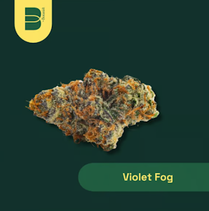 Botanist - Violet Fog Flower - 3.5g