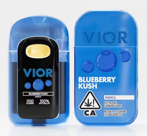 Vior - Blueberry Kush AIO 1.25G Main Image