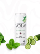 Cucumber Mint 2:1 (10mg) by Voila!