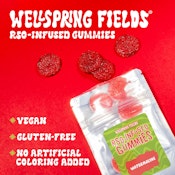 1:1 RSO Infused Watermalone Gummies