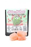 Eighth Brother - Watermelon Madness Single Dose Gummy 100mg