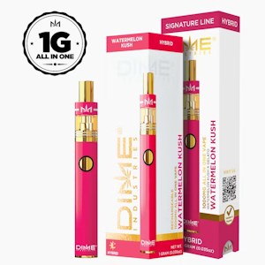 DIME - DIME - Disposable Vape - Signature Line - Hybrid - Watermelon Kush - (1g)