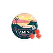 Camino - Bliss - Watermelon Lemonade - Gummies - 20pk - 100mg