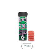 Lost Farm - Watermelon x Ice Cream - Rosin Gummies 10pk - 100mg