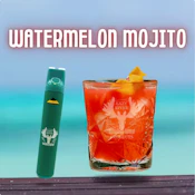 Watermelon Mojito Disposable - 1g - LRP