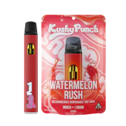 Kushy Punch All In One 1g Watermelon Rush