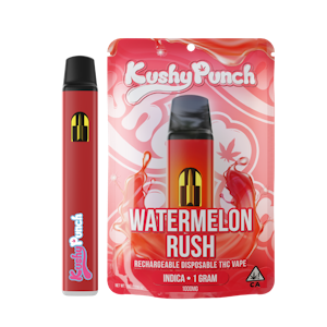 KUSHY PUNCH - Kushy Punch All In One 1g Watermelon Rush