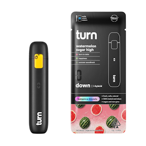 TURN - Watermelon Sugar High (I) | 1g Botanical Blends AIO | Turn