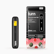 Turn BB Disposable - 1g - Watermelon Sugar High