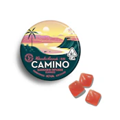 Camino - 100mg Gummies (Watermelon Lemonade-Hybrid)