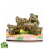 Product Preview Image 2