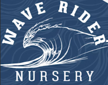 WAVE RIDER - Infused Preroll - Peanut Butter Breath - Hash Infused - 1G