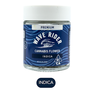 WAVE RIDER NURSERY - Wave Rider - Rainbow Runtz - Flower - 7.0g