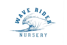 Wave Rider - Biscotti Mintz Preroll - 1g