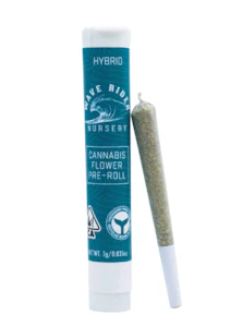 Wave Rider Nursery - Wave Rider | Mango Haze | Pre-Roll | 1g