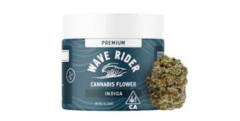 Wave Rider | Chem Cookies | 7g