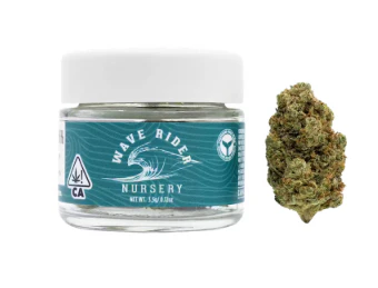 Wave Rider - Wave Rider Nursery | Gorilla Glue | Greenhouse Flower Jar | 1/8oz Main Image