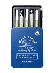 Wave Rider - 5pk - Blueberry Pancakes - 2.5g (I) - Wave Rider
