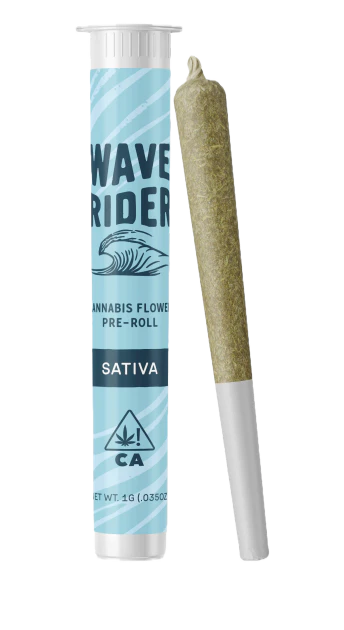 Wave Rider - Wave Rider | Blue Gruntz | Single Main Image