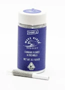 Wave Rider Nursery | Gush Mintz | Pre-Roll 14pk | 7g
