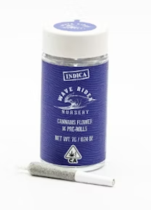 WAVE RIDER NURSERY - Wave Rider Nursery | Glitterati | Greenhouse Pre-Roll 14pk | 7g