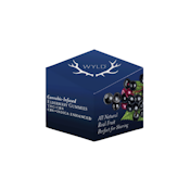 WYLD Elderberry 200mg THC : 50mg CBN Indica