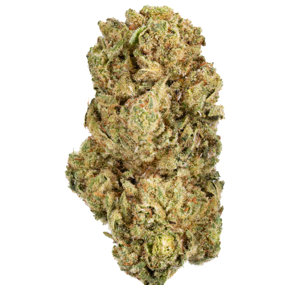 West Coast Cure - WCC Skywalker OG Premium Flower (I) 28g Main Image
