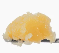 WEST COAST CURE 1G Papaya Blast Live Resin Badder