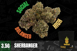 3.5g Sherbanger "INDO" (Indoor Smalls) - Humble Root